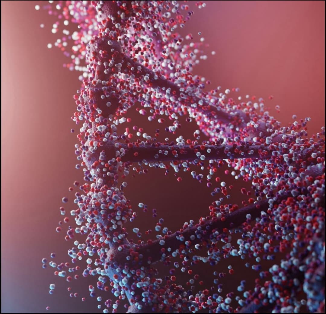 Investing in Immortality: The Next Breakthrough Market